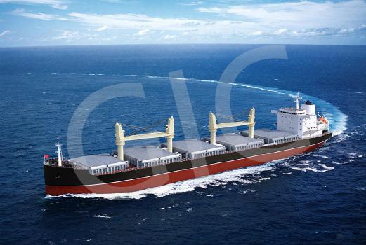 Bulk Carrier