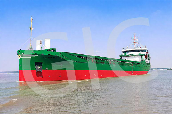 MultiPurpose Ship