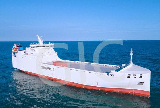 MultiPurpose Ship with RoRo & Container